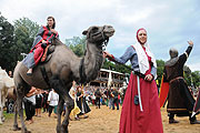 Kaltenberg 2011 (Foto: Ingrid Grossmann)